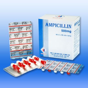 Ampicillin antibiotic