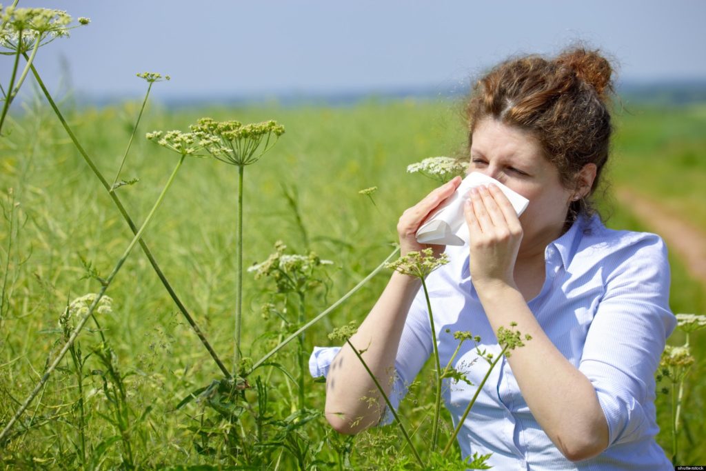 seasonal allergies