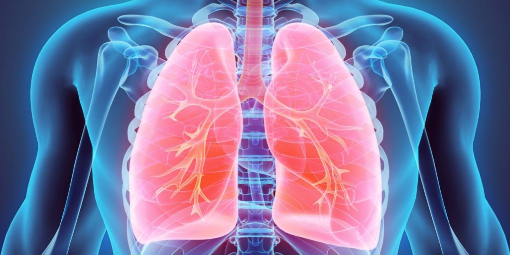 zithromax for bronchitis