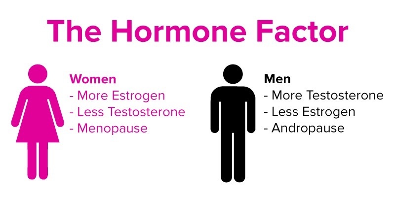 testosterone estrogen ratio